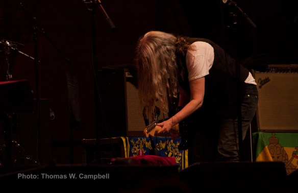 Patti Feedback trim IMGP2938